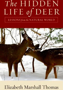 The Hidden Life of Deer: Lessons from the Natural World Elizabeth Marshall Thomas