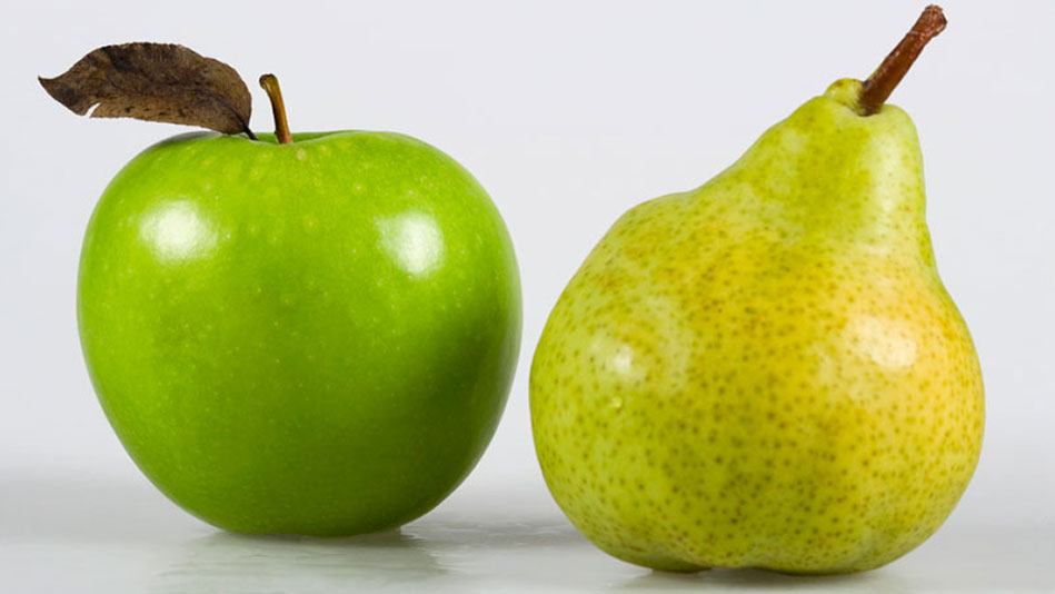 apple shaped body diet