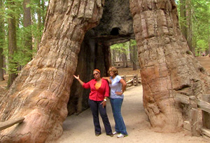 Oprah In Yosemite