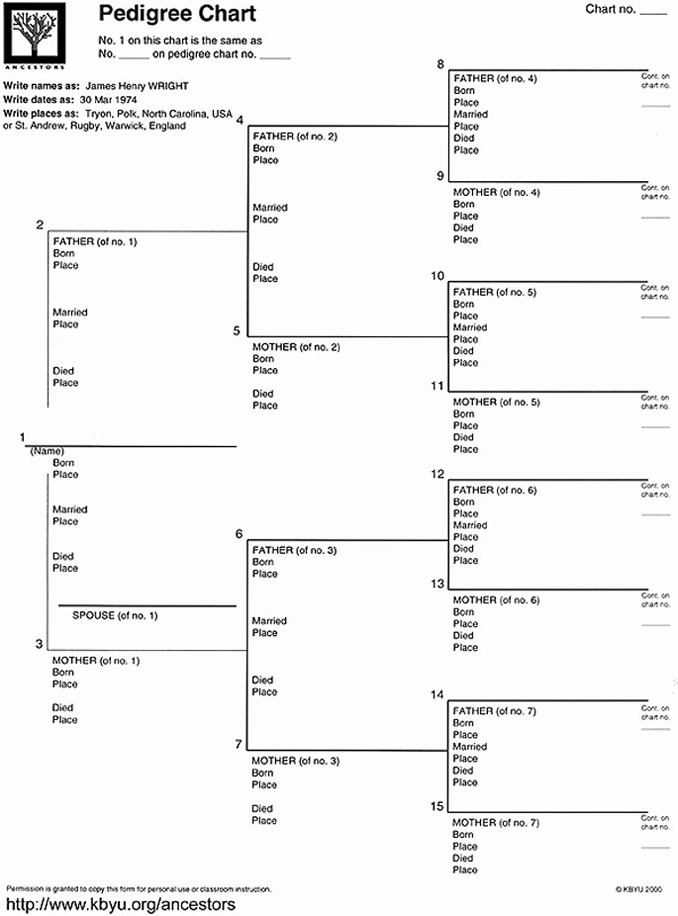 family tree template for children free. Family Tree Templates - 20