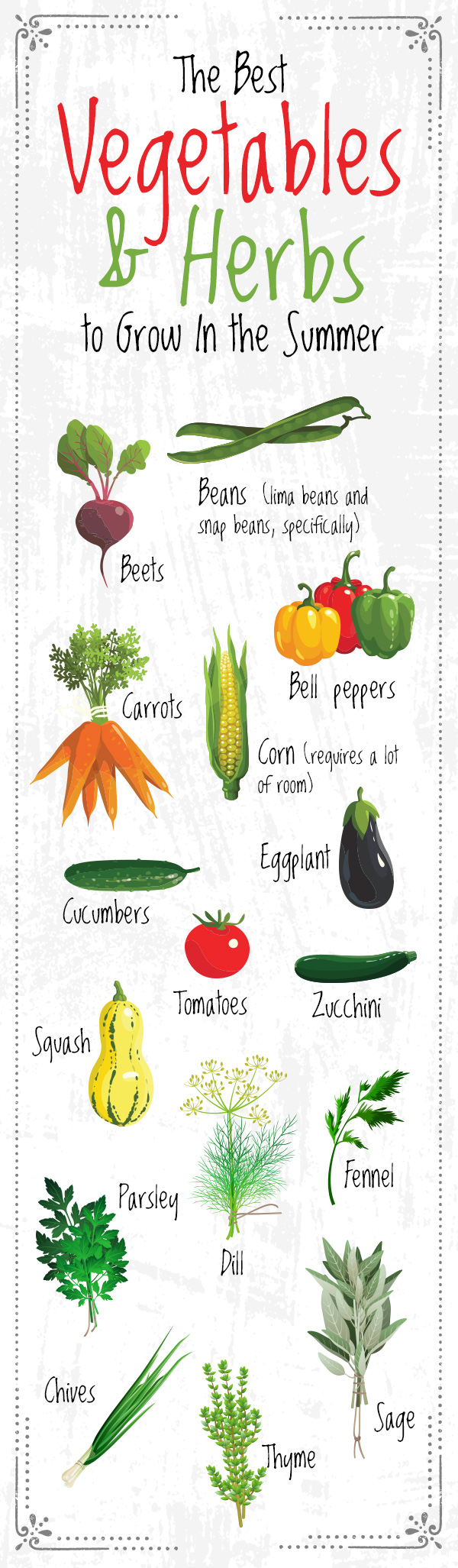 Summer Vegetables - Which Veggies Grow the Best in Summer?