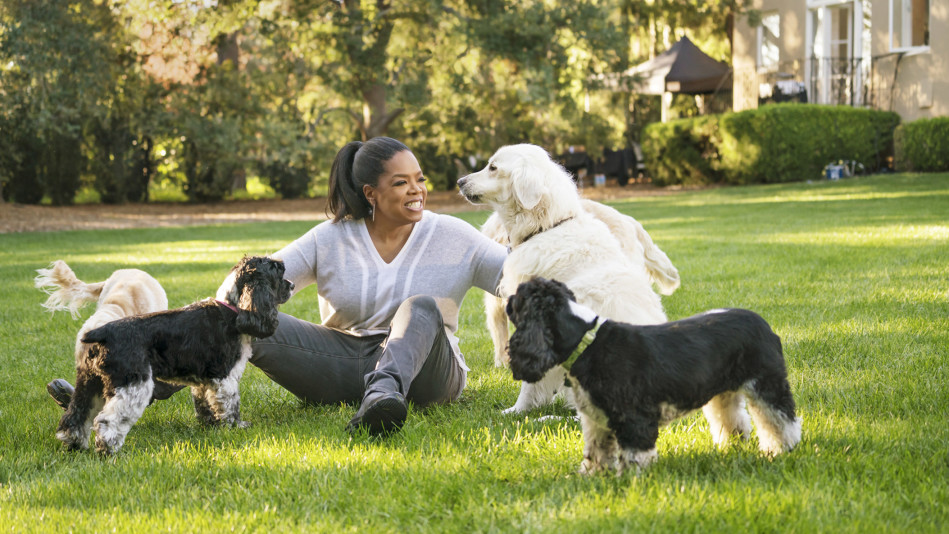 oprah's dogs