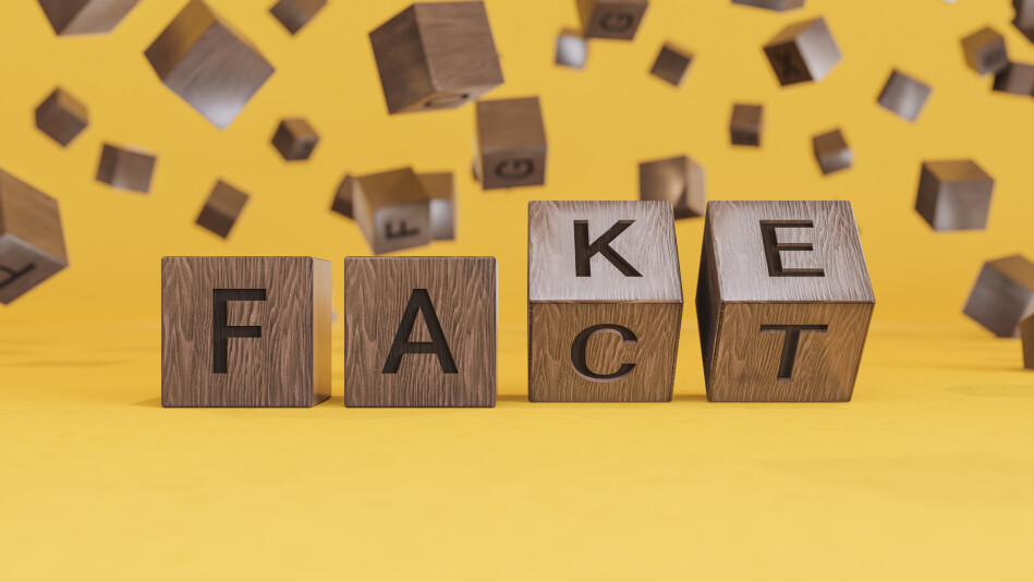 'fact' or 'fake' blocks