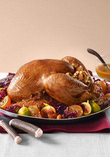 Classic thanksgiving turkey.