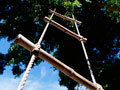 Tree ladder
