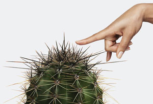 Finger pricked by cactus