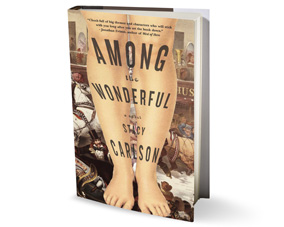 Among the Wonderful by Stacy Carlson