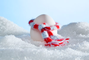 egg with scarf