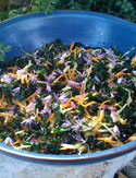 Kale Apple and Chive Flower Salad
