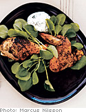 Grilled Coriander-Cumin Chicken with Cilantro-Yogurt Dipping Sauce