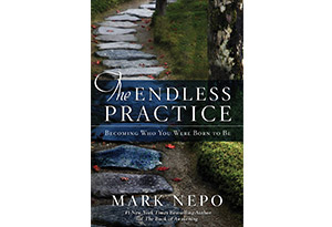 The Endless Practice