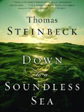 'Down to a Soundless Sea' by Thom Steinbeck