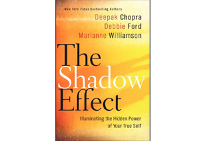 The Shadow Effect Book cover