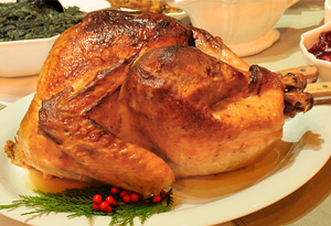 Cristina Ferrare's turkey that led to a TV show