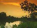 Cane River in Louisiana